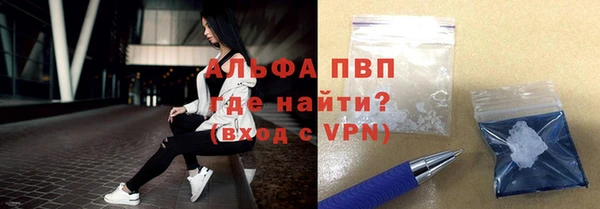крисы Алексин