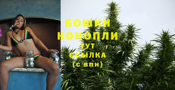 бошки Алзамай